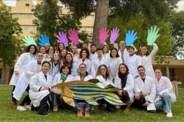 equipo-investigacion-KBG-Murcia-1024x621 (1)